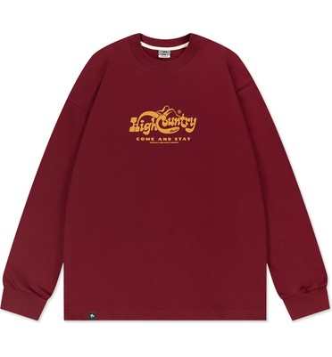 Лонгслив HIGH RLXD FIRM LS TEE бордовый унисекс