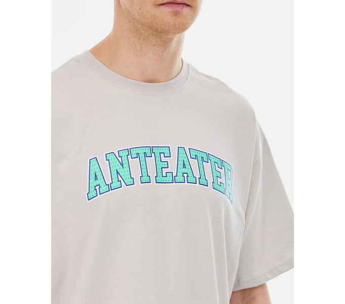 Футболка ANTEATER 407 серый